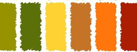 Offerta Autunno sui colori 2017